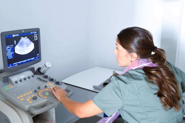 17-1_53342029057_o - copia