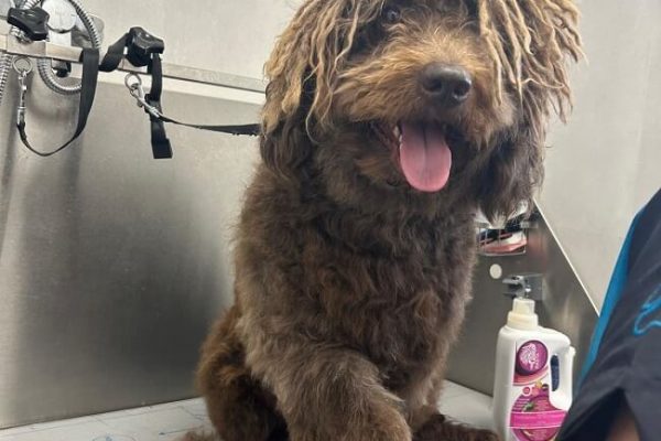 WhatsApp Image 2025-01-13 at 14.28.54 (1)