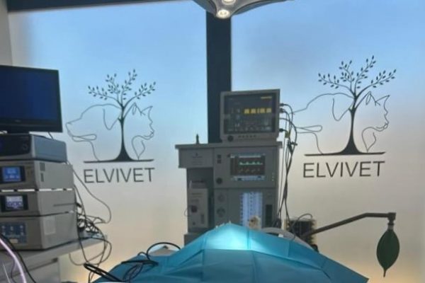 WhatsApp Image 2025-01-13 at 14.31.28 (1)