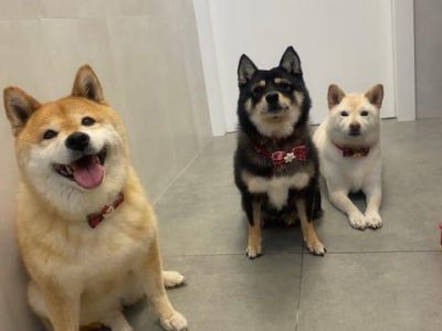 WhatsApp Image 2025-01-13 at 14.57.36