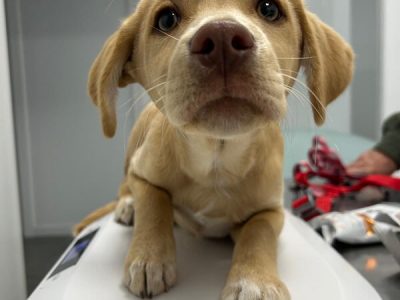 WhatsApp Image 2025-01-13 at 14.57.57 - copia