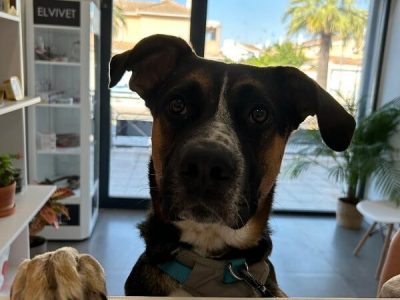 WhatsApp Image 2025-01-13 at 15.01.53 - copia