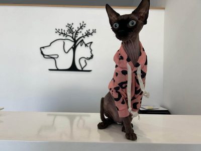 WhatsApp Image 2025-01-13 at 15.02.25 - copia